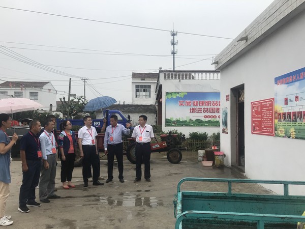 四铺镇组织市人大代表调研人居环境整治及企业安全生产工作 (3).jpg